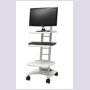 SmartCart with Monitor1a